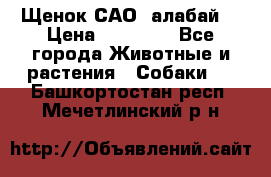 Щенок САО (алабай) › Цена ­ 10 000 - Все города Животные и растения » Собаки   . Башкортостан респ.,Мечетлинский р-н